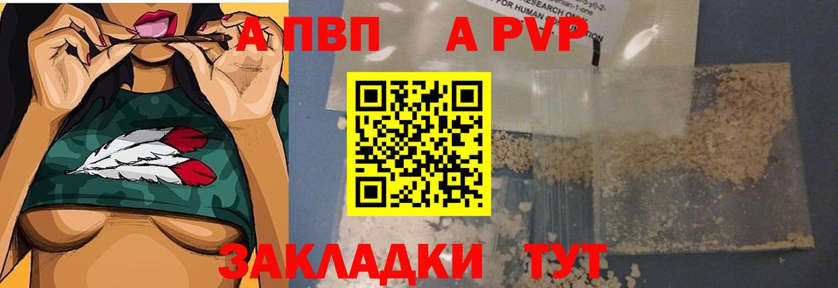 Alfa_PVP СК Фрязино