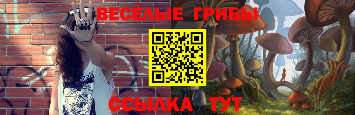 Фрязино  Псилоцибиновые грибы Psilocybe  Вход с VPN 